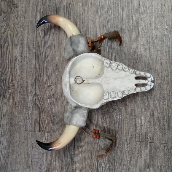 Southwest Skull Wall Decor - Picture 3 of 6